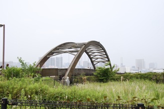 DSC 0117