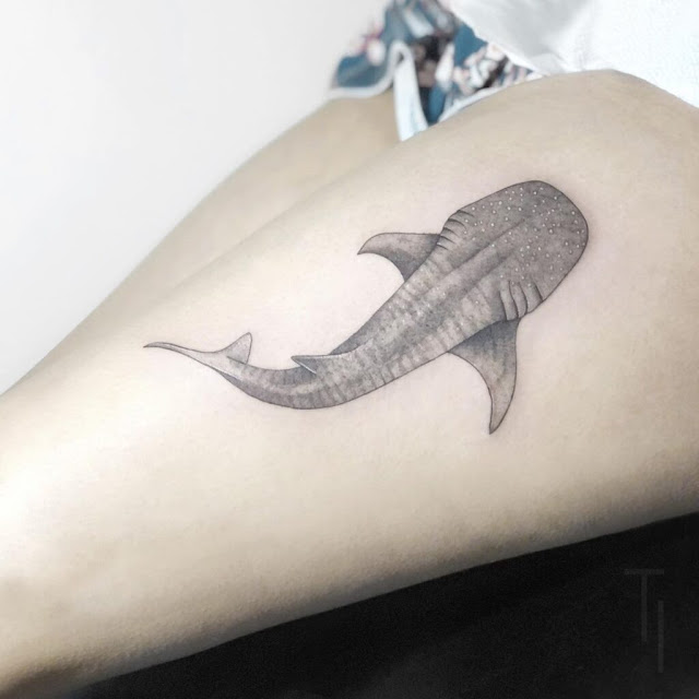 Tatuagens de tubarão para mulheres - 30 sugestões