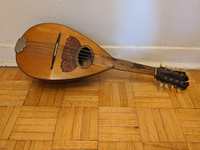 Mandolin without fretboard