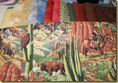 CrazyBorderFabric2