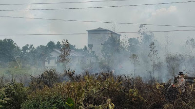 Satu Keluarga Mengungsi Akibat Karhutla, Rumah dan Penangkaran Walet di Desa Galang Dikepung Api
