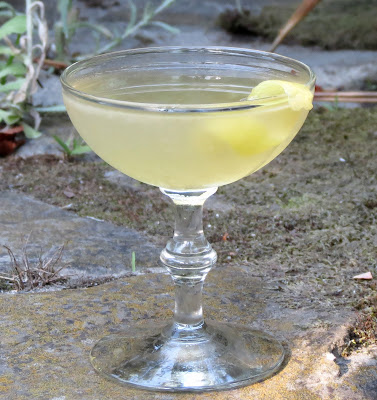 Cocktail, stemmed glass, late afternoon garden, stone patio, moss