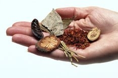 Chinese Medicine Culture