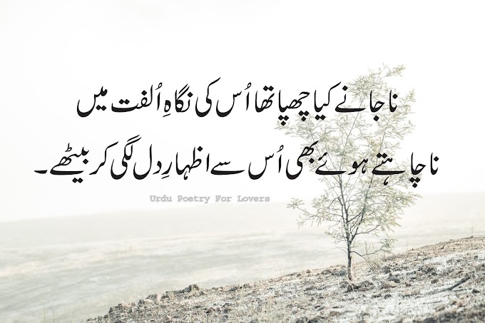 Na janay kya chupa ta os ki negahy olfat may/love poetry