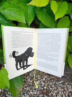 Povídky pod psa: Slepičí polévka pro psí duše (Eva Mašková, ilustrace: Pavel Beneš, nakladatelství Talent Pro ART)