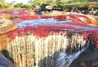 Caño Cristales