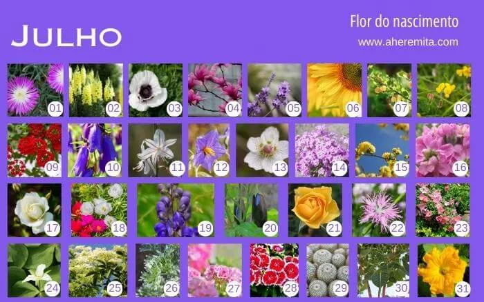 flores-que-representam-os-dias-do-mes-de-julho-organizados-em-um-calendario-segundo-a-cultura-coreana