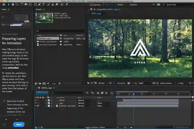 Adobe After Effects CC 2020