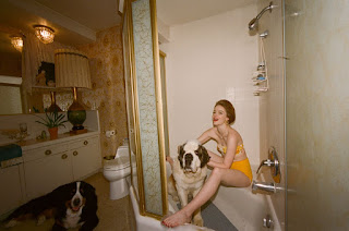 Emma Stone At W Magazine Photoshoot (2019)