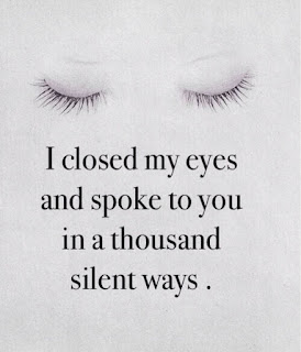 I closed my eyes and spoke to you in a thousand silent ways.