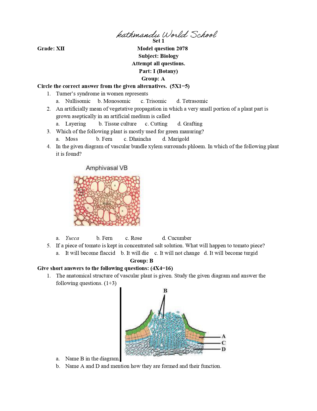 NEB-Class 12 Biology Model Question paper 2080 [PDF]