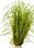 image15_thumb_thumb