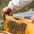 BEVAC Moves To Install Ultra Modern Bee-Yards Demo For Stimulating Tanzania’s Apiculture Sector