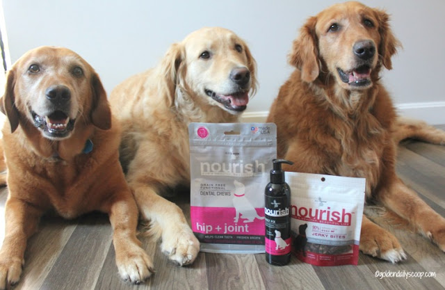 nourish jerky treats, dental chews and hip and joint supplements for dogs