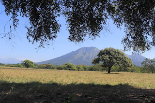 baluran national park tour