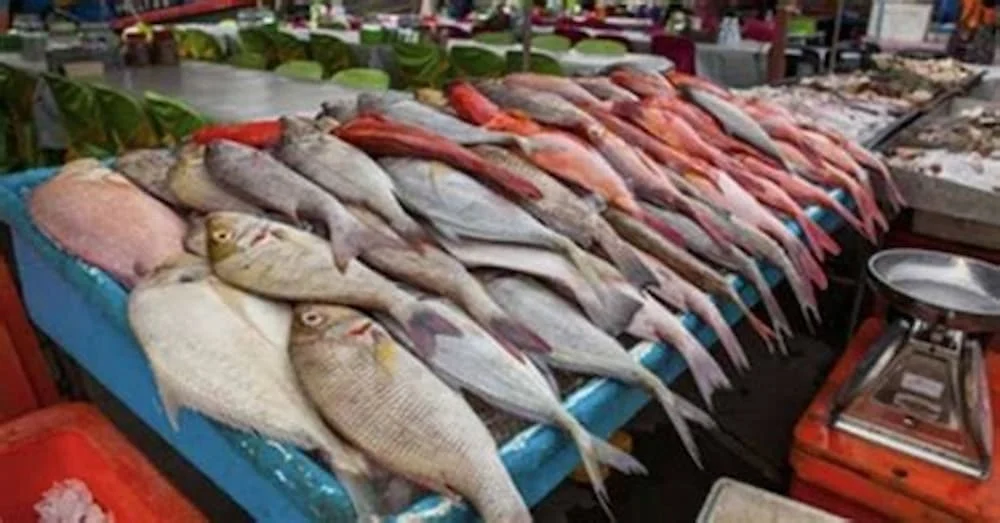 استقرار أسعار الأسماك والمأكولات البحرية في سوق العبور بشم النسيم