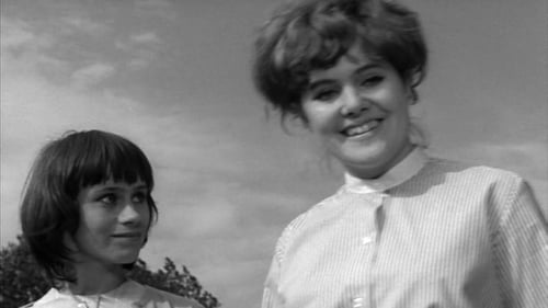 La chica de los ojos verdes 1964 ver gratis español latino