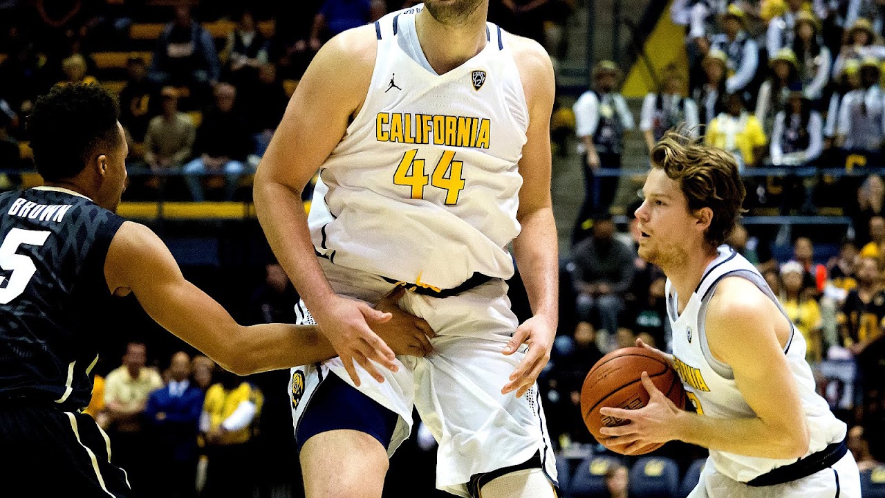 California Golden Bears men's basketball