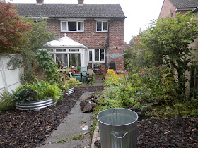 Diary of a suburban edible garden, September 2017. From UK garden blogger secondhandsusie.blogspot.com #permaculturegarden #ukpermaculture #suburbangarden #ediblegarden #sheetmulching #raisedbeds 