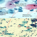 CELLULAR CHANGES ASSOCIATED WITH TRICHOMONAS VAGINALIS