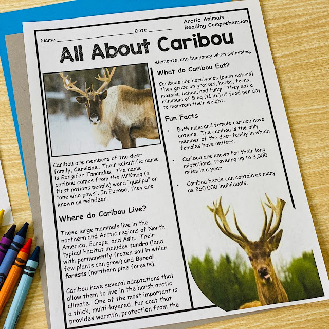All About Caribou Reading Comprehension Worksheet