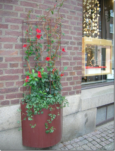 DSCN8467-1