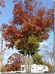 photo4