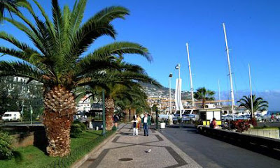 Madeira | Madeira island