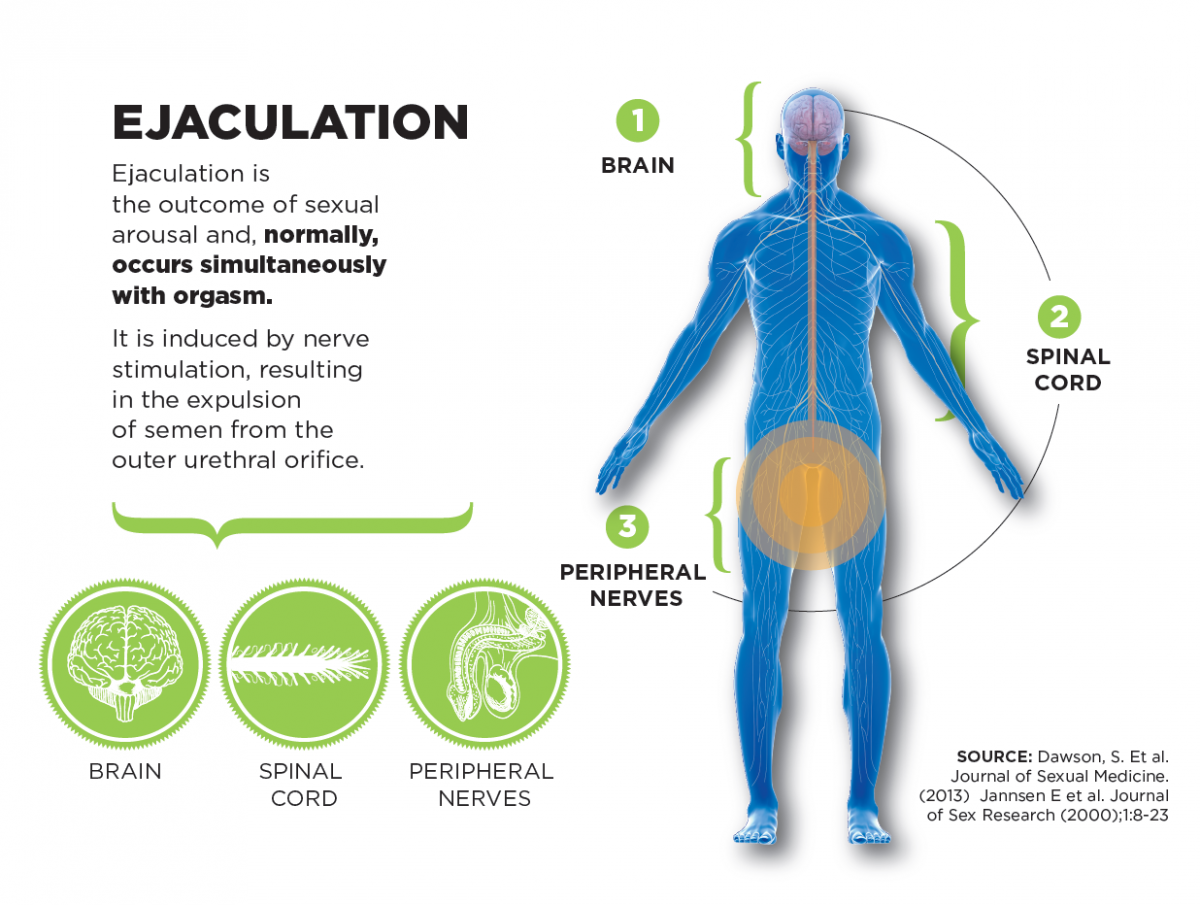 Causes of premature ejeculation