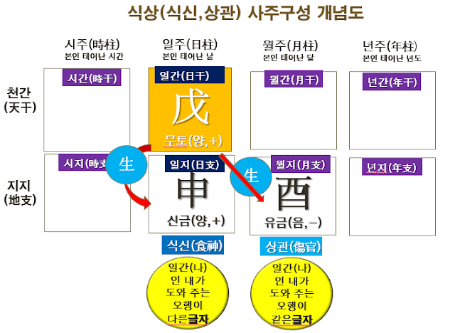 식신,상관 사주구성개념도