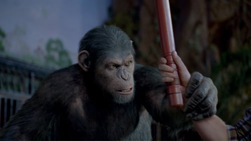 La Planète des singes : Les Origines 2011 blu ray