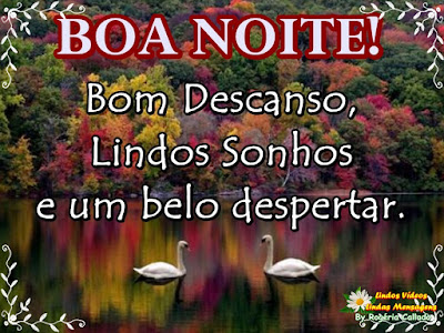 Boa noite! Bom descanso, lindos sonhos e um belo despertar.