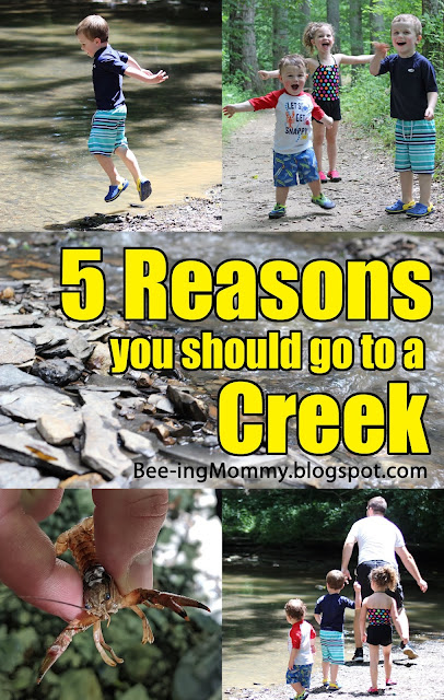 creek, summer fun, why you should go to a creek, family fun, free fun, free family fun, family time, creek fun, exploring a creek, why go to creek, creeking, get outside, explore, to do, summer to do, free to do,5 reasons to go to a creek, what can you do at a creek, nature, creek activities