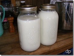 the strained milk