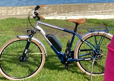 Stolen Bicycle - Raleigh Array