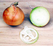 220px Onion البصل صيدلية بين يديك فاغتنهما