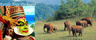 Kerala tour packages