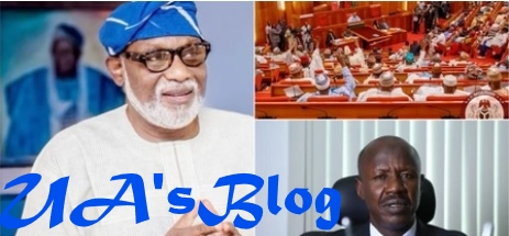 Akeredolu urges Senate to confirm Magu’s appointment as EFCC chairman