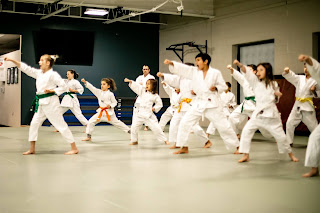 kids martial arts ann arbor, ann arbor kids martial arts