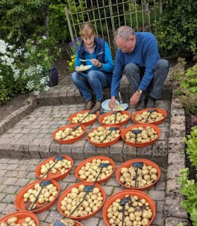 Tattie Challenge