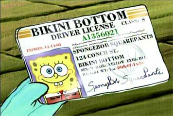 Download this Spongebob Driving Licence picture