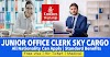  Junior Office Clerk Job Opportunity – Delhi, India