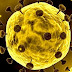 Persebaran Covid-19 Virus Corona di Dunia 2020