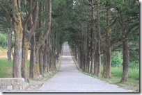 IMG_0574 IMG_0574