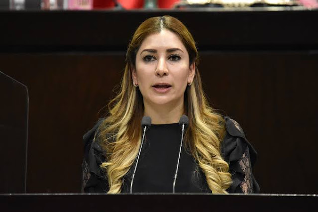 Propone Azucena Rodríguez iniciativa para regular licitaciones públicas del gobierno y erradicar la corrupción
