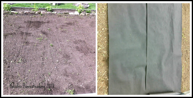 square foot gardening setup