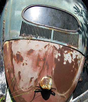 58 VW bug with the W engine cover