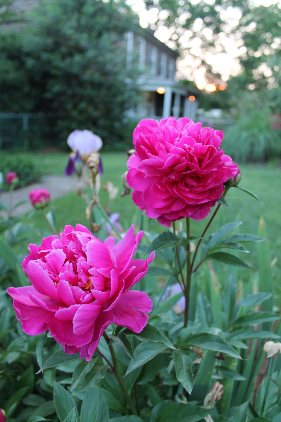 Stone Hill Farm May 13