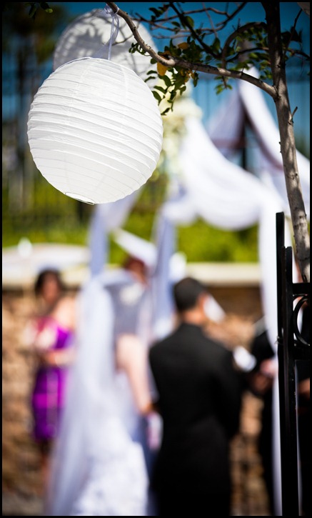 Diana   Helio Wedding- Color-223