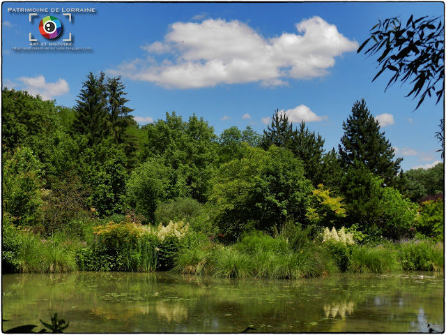 GELAUCOURT (54) - Jardin d'eau de l'Aubepré